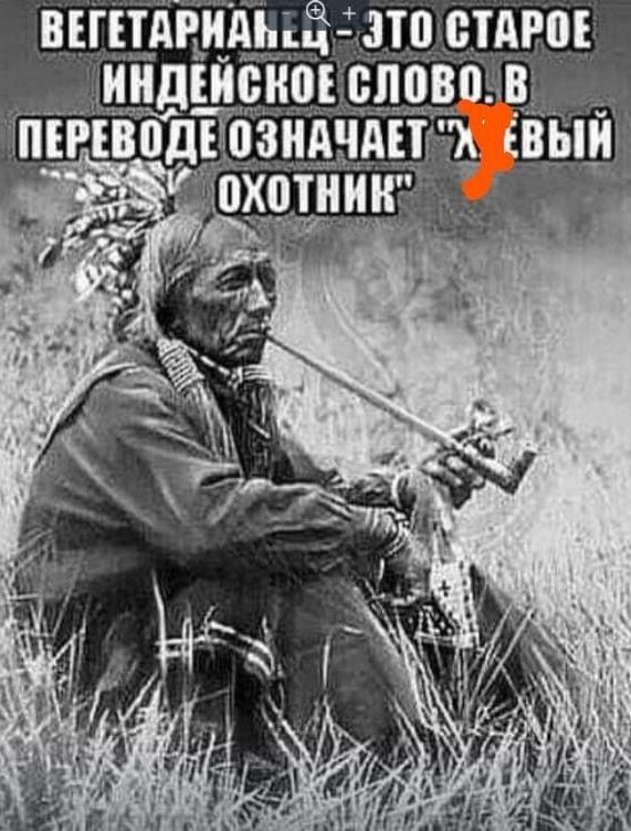 въгцщидыч зтц шим