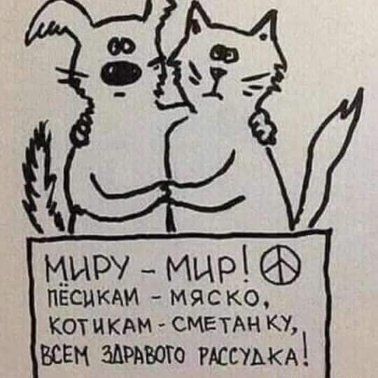миру _ мир ПЕСНКАИ МЯСКО КОТ КАМ СМЕТАН КУ всем животе шим