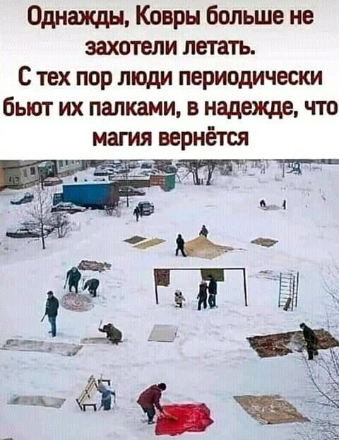 Однажды Ковры больше не захотели летать С тех пор люди периодически бьют их папками в надежде что
