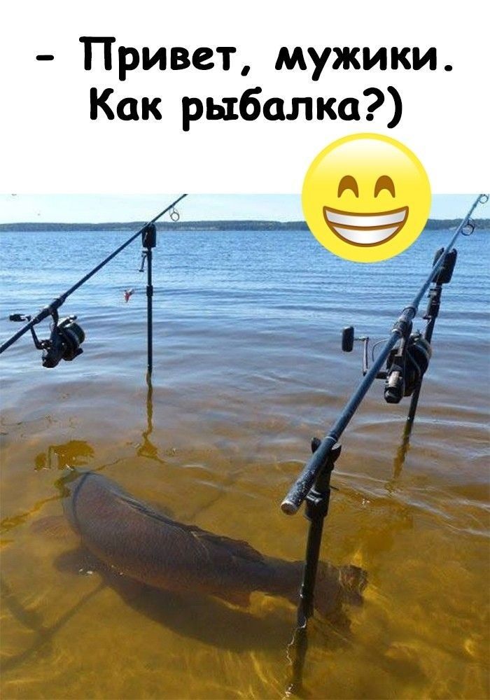 Привет мужики Как рыбалка АА