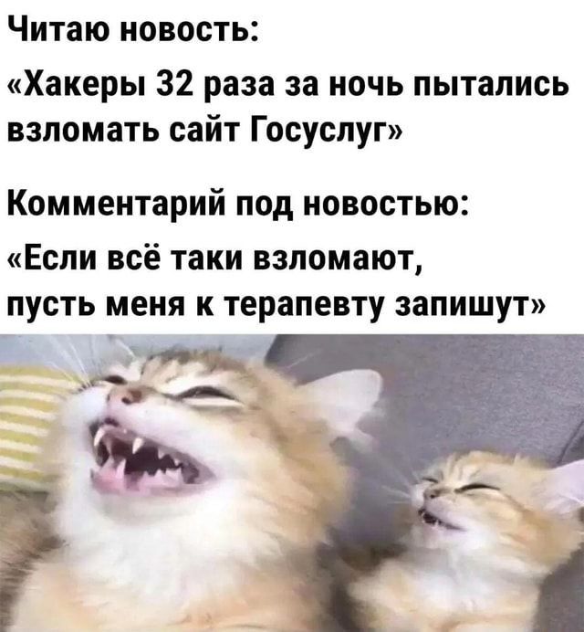 Читаю новость Хакеры 32 раза за ночь пытались взломать сайт Госуслуг КОММЕНТЗРИЙ ПОД НОВОСТЬЮ Если всё таки взломают пусть меня к терапевту запишут