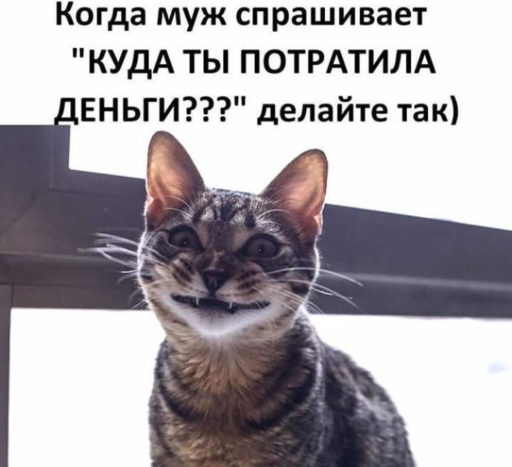 Когда муж спрашивает КУДА ТЫ ПОТРАТИЛА ЕНЬГИ делайте так