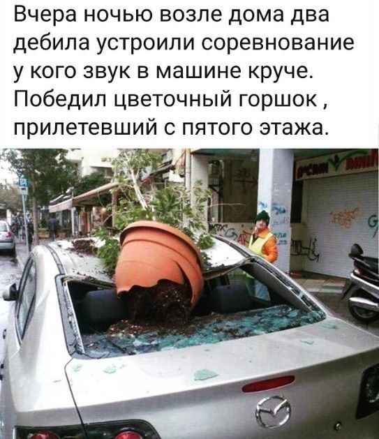 Вчера ночью возле дома два дебила устроили соревнование у кого звук в машине круче Победил цветочный горшок прилетевший с пятого этажа _