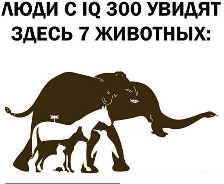 АЮДИ С О 300 УВИДЯТ ЗДЕСЬ 7 ЖИВОТНЫХ