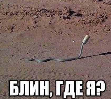 БЛИН ГДЕ Я