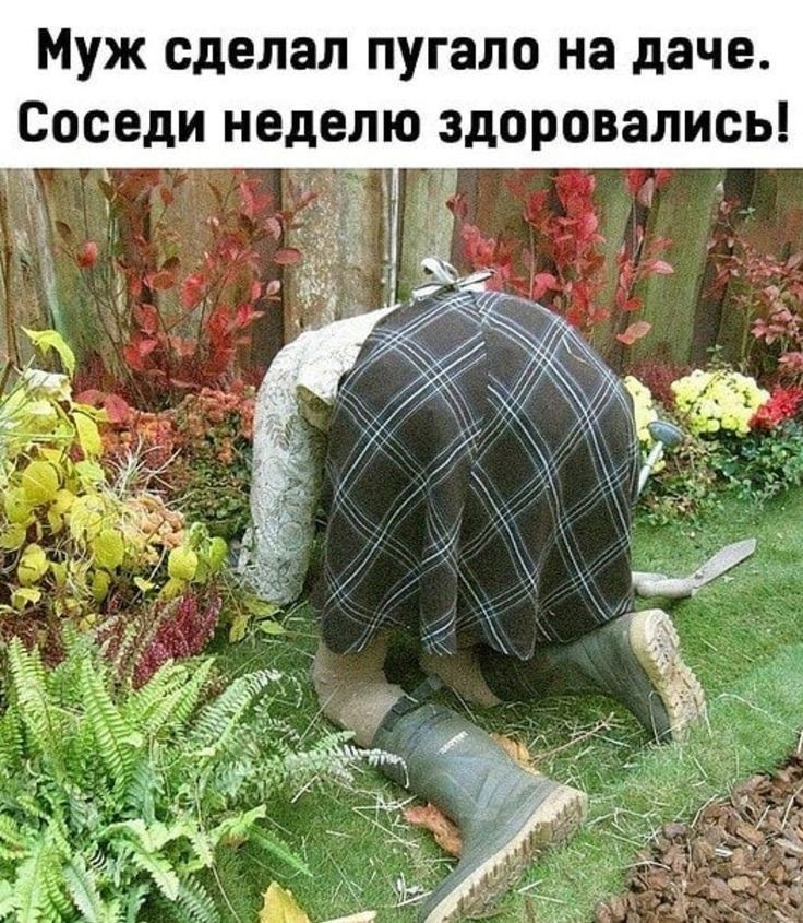 Муж сделал пугало на даче Соседи неделю здоровались
