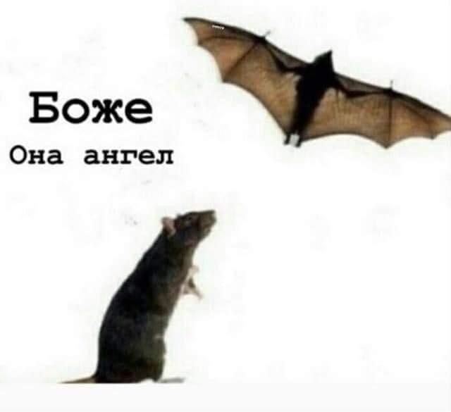 Боже Она ангел