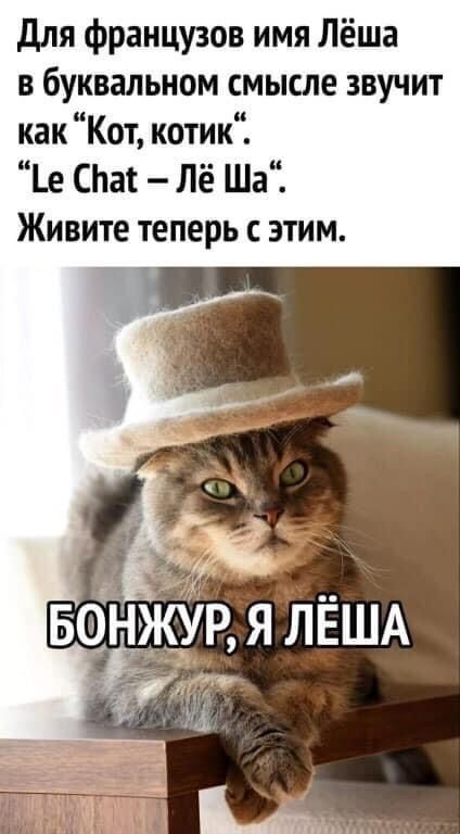 для французов имя Лёша в буквальном смысле звучит как Кот котик е СЬаі Лё Ша Живите теперь с этим