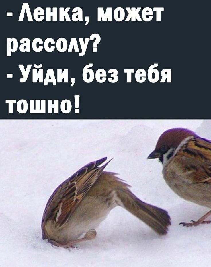 Аенка может рассаду Уйди без тебя тошно