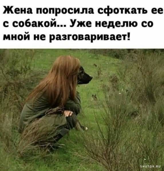 Жена попросила сфоткать ее с собакой Уже неделю со мной не разговаривает вишои