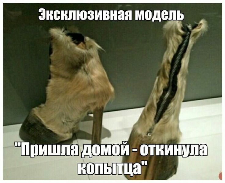 Эксклюзивная модем