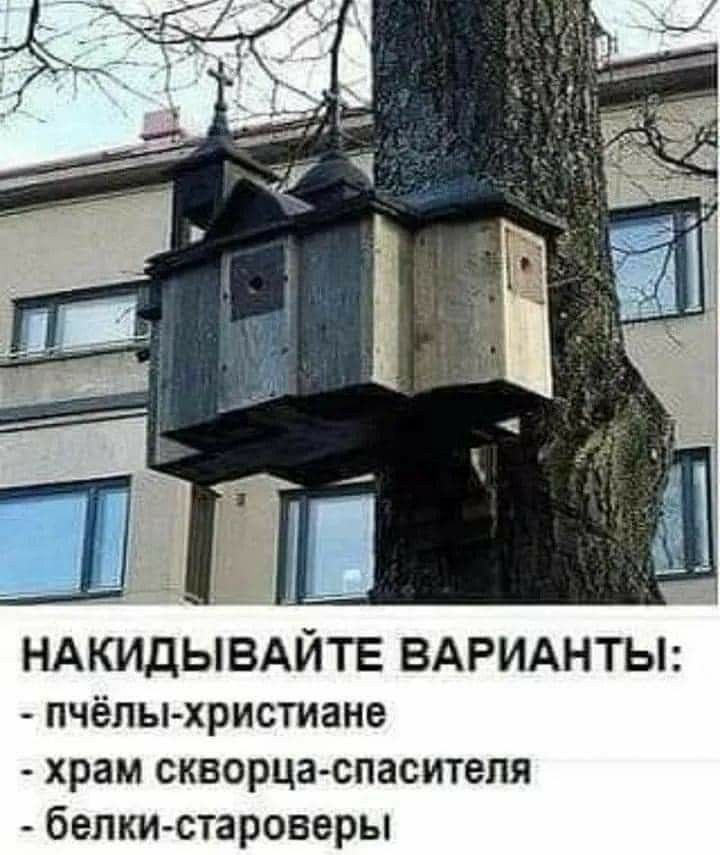 НАКИДЫВАЙТЕ ВАРИАНТЫ пчёлыхристиане храм скворца спаситепя белки староверы