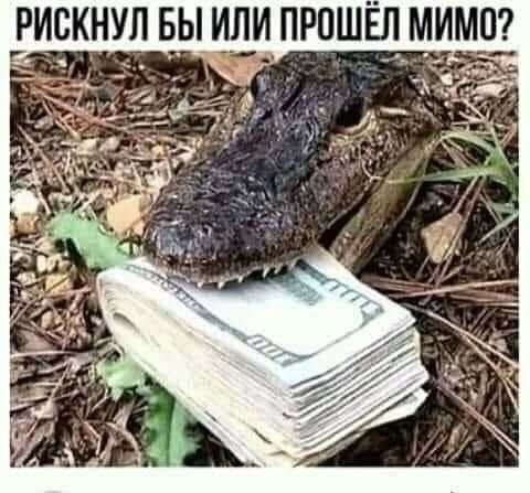 РИСКНУЛ БЫ ИЛИ ПРОШЕЛ МИМП