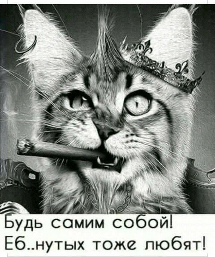 Будь сомИм сОоой Ебнутых тоже любят