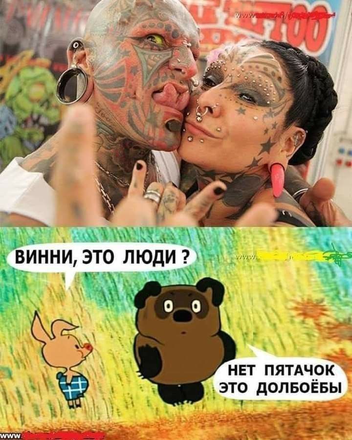 нет пямчрк 1 долвоввы