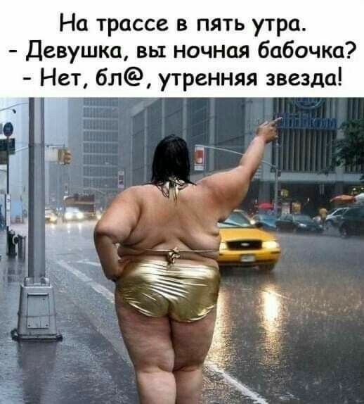 На трассе в пять утра Девушка вы ночная бабочка Нет бл утренняя звезда