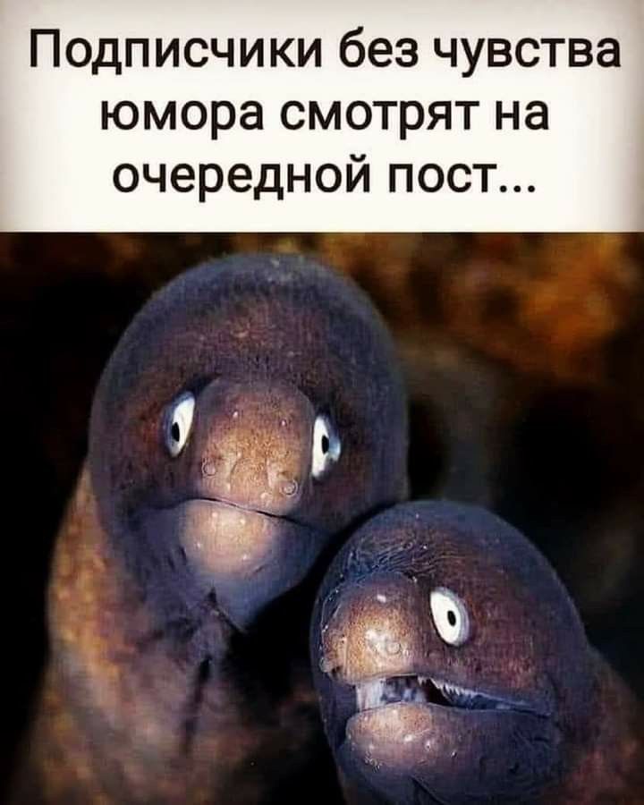 Подписчики без чувства юмора смотрят на очередной пост