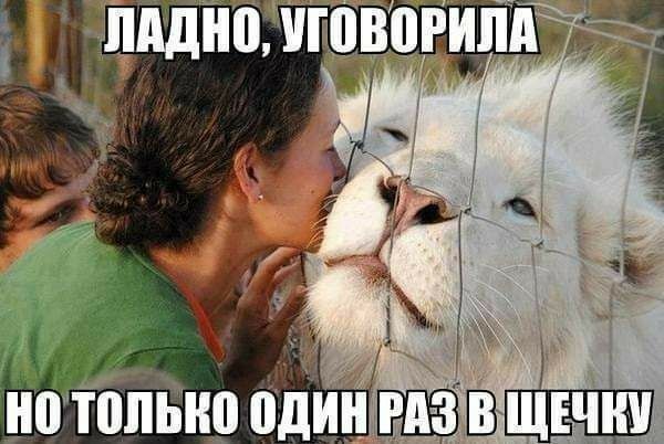 милиции о г д і _ нптопыю оди ад шыш