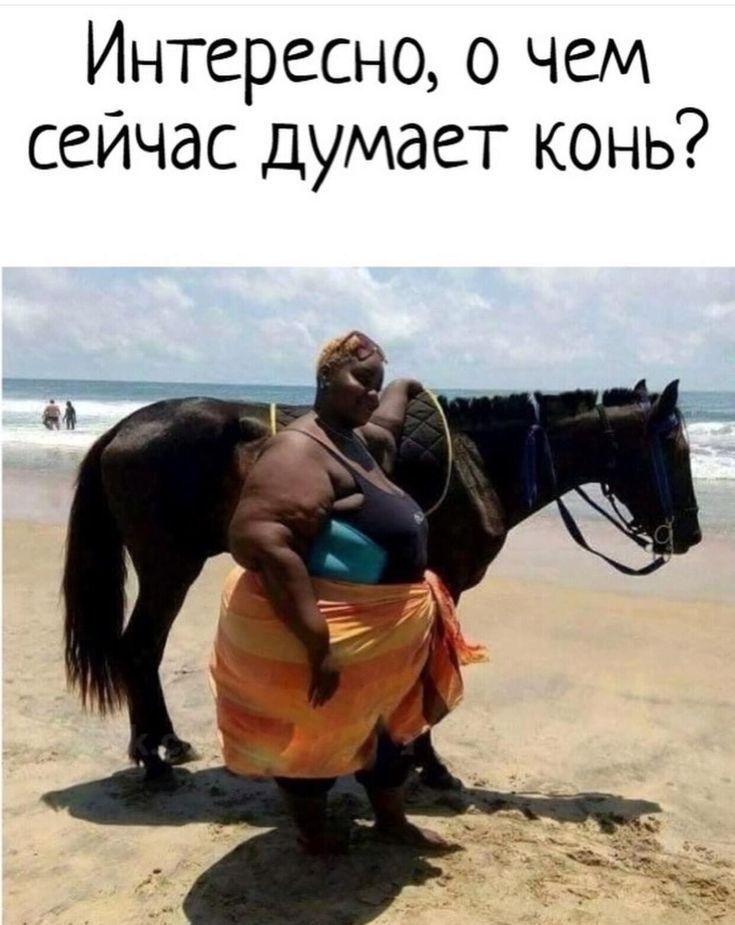 Интересно о чем сейчас Думает конь