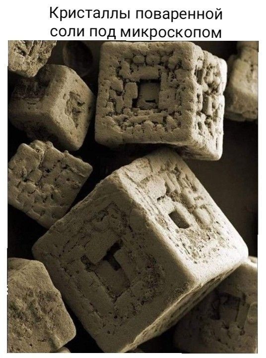 Кристаллы поваренной соли под микроокопом