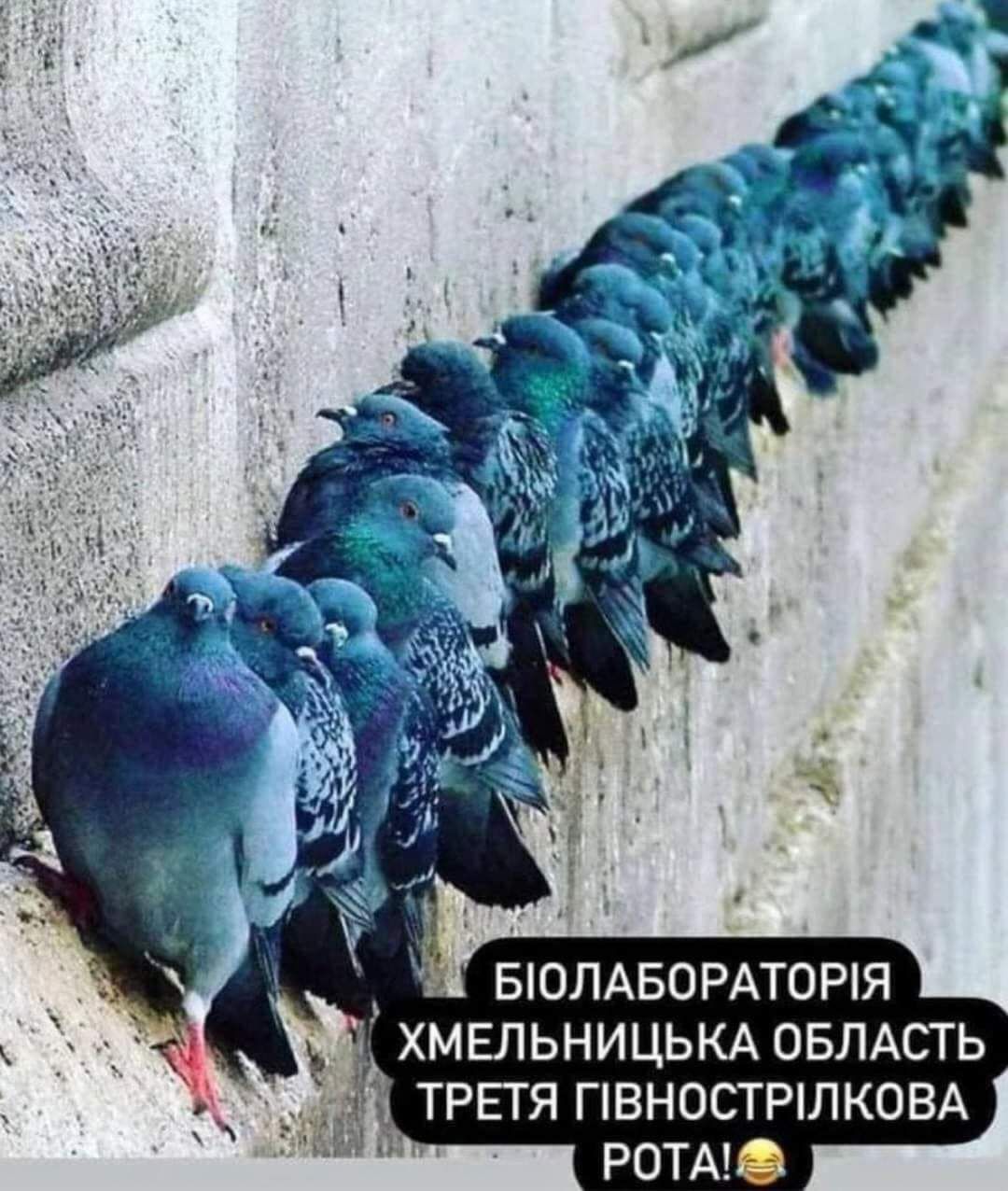 БЮЛАБОРАТ0РЯ _ ХМЕЛЬНИЦЬКА ОБЛАСТЬ ТРЕТЯ ГВН0СТРЛКОВА РОТАЬЗ