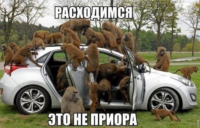 Зто Е пгиогд