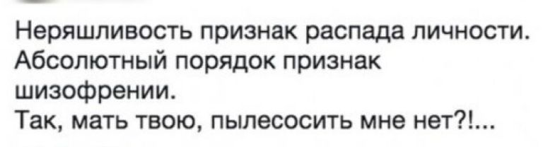 Неряшливость признак распада личности Абсолютный порядок признак шизофрении Так мать твою пылесосить мне нет