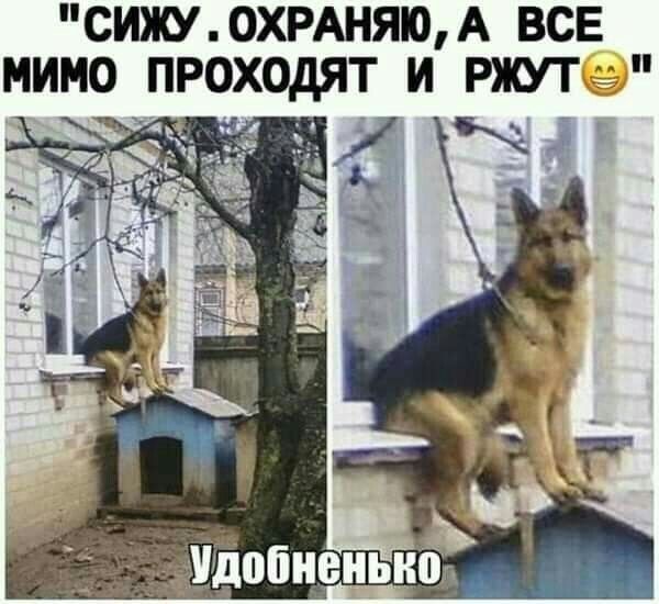 СИЖУ ОХРАНЯЮ А ВСЕ ИМО ПРОХОДЯТ И РЯЕУТ