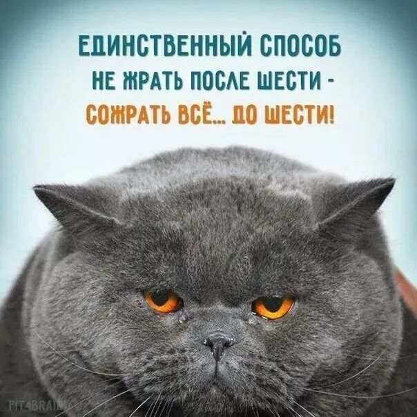 ЕДИНСТВЕННЫЙ СПОСОБ НЕ ШРАТЬ ПОСАЕ ШЕСТИ СОШРАТЬ ВСЁ 110 ШЕСТИ