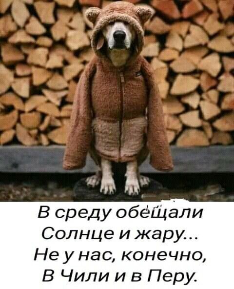 В среду обещали Солнце и жару Не у нас конечно В Чили и в Перу