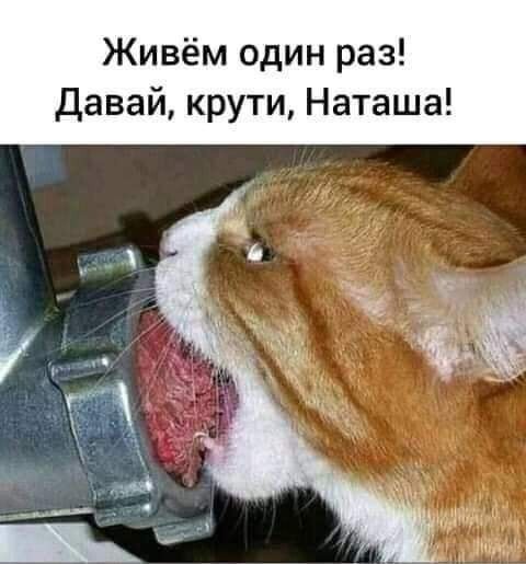 Живём один раз Давай крути Наташа
