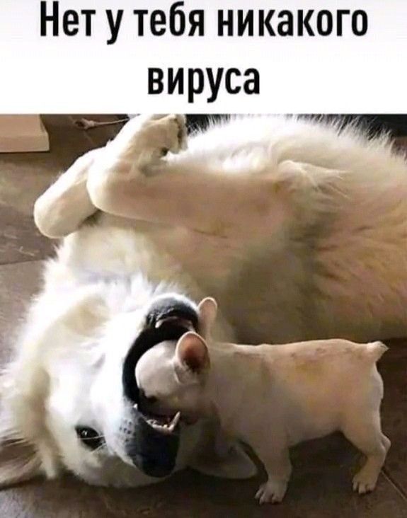 Нет у тебя никакого вируса