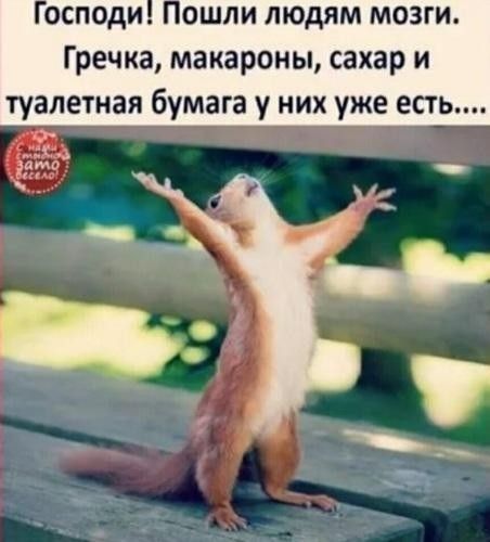 осподи Пошли людям мозги Гречка макароны сахар и туалетная бумага у них уже есть