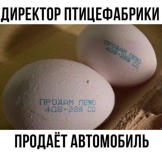 дИРЕКТПР ПТИЦЕФАБРИКИ продАЁтдёіомпвиь