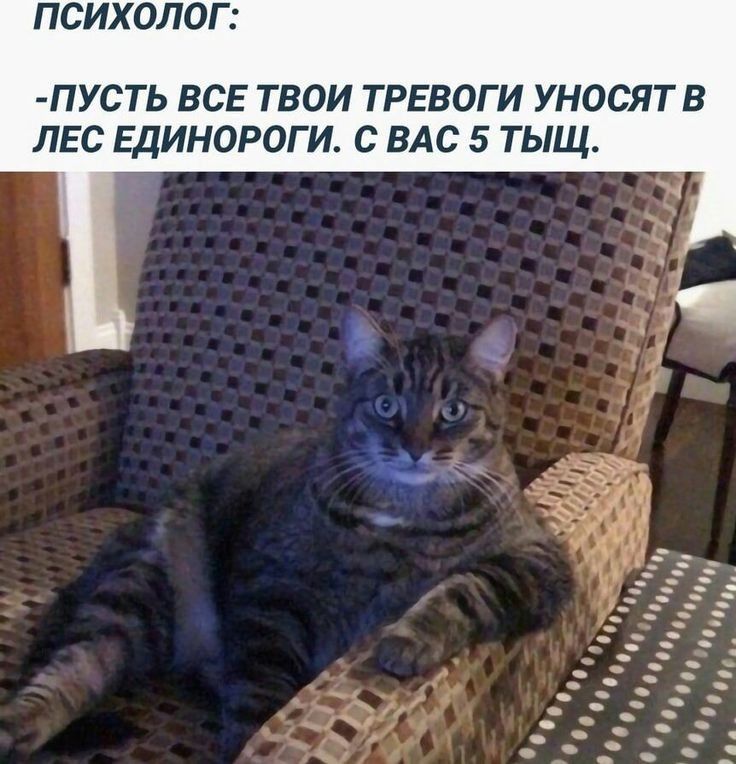 ПСИХОЛОГ ПУСТЬ ВСЕ ТВОИ ТРЕВОГ И УНОСЯТВ ЛЕС ЕДИНОРОГ И С ВАС 5 ТЫЩ
