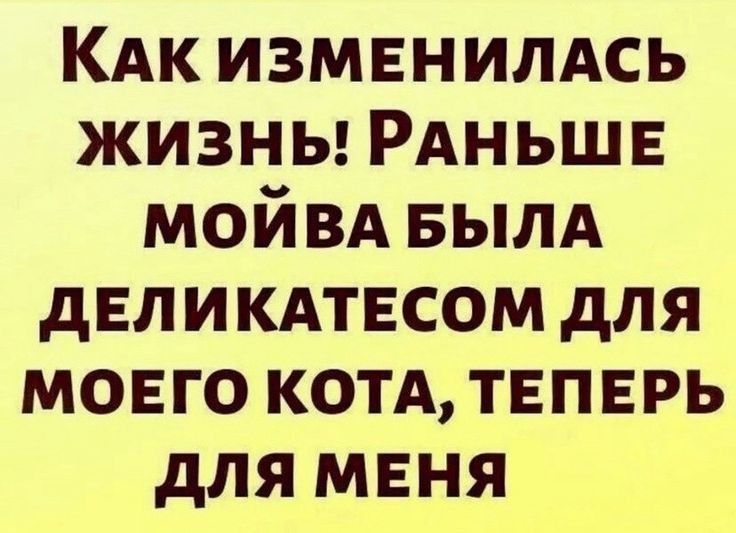 КАк изменилдсь жизны РАНЬШЕ мойвд БЫЛА двликдтвсом для моего котд твпврь для мвня