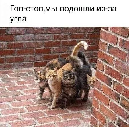 38 3 и и П Ш О П Ы М Го стоп
