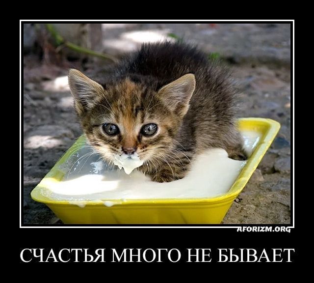 СЧАСТЬЯ МНОГО НЕ БЫВАЕТ