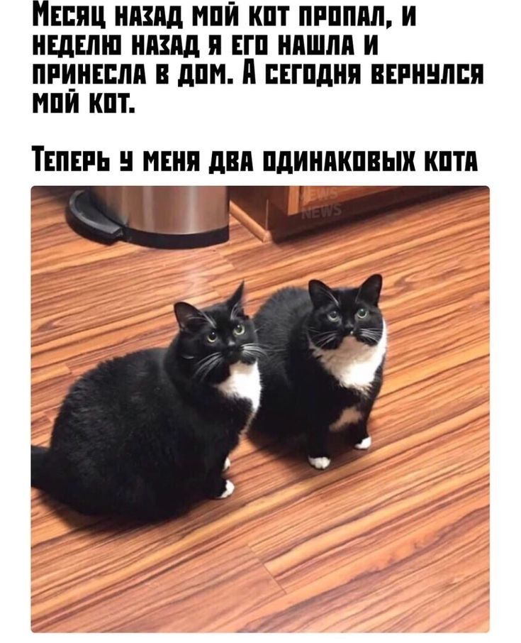 МЕЕИЦ НАЗАД МПИ ИПТ ПРПШШ И НЕДЕЛИ ншд И ЕГП ИПШЛП И ПРИИЕБЛП В дПМ И ЕЕГПдИИ ПЕРИНЛЕИ МПИ КПТ ТЕПЕРЬ МЕНЯ двп ПдИИПИПВЫИ ИПП