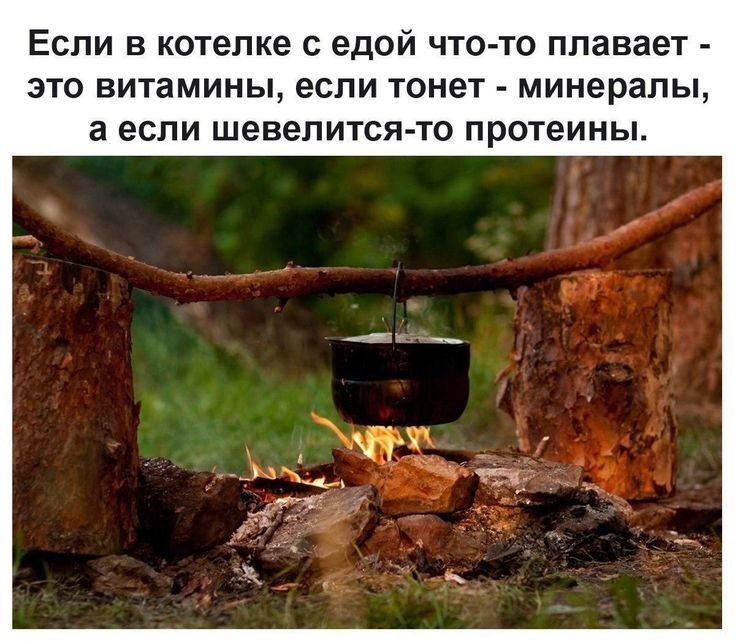 ЕСЛИ В котелке С едой ЧТО ТО плавает ЭТО витамины если ТОНЭТ минералы а если шевелится то протеины
