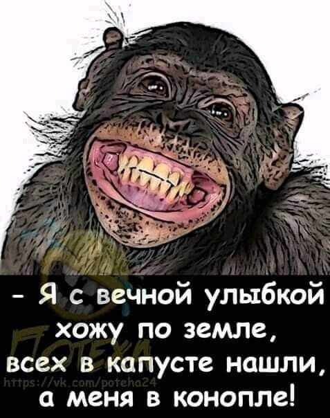 Я с вечной улыбкой хожу по земле всех в капусте нашли а меня в конопле