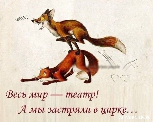 Зесь мир театр Я мы застряли в цирке