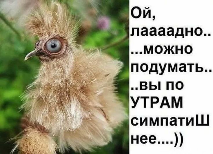 Ой лаааадно можно подумать вьппо УТРАМ симпатиШ нее