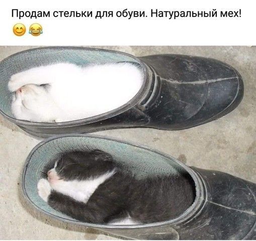 Продам стельки для обуви Натуральный мех