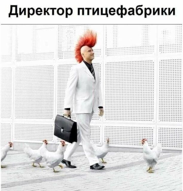 директор птицефабрики