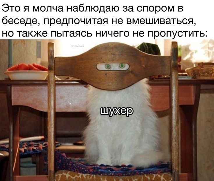 Это я молча наблюдаю за спором в беседе предпочитая не вмешиваться но также пытаясь ничего не пропустить