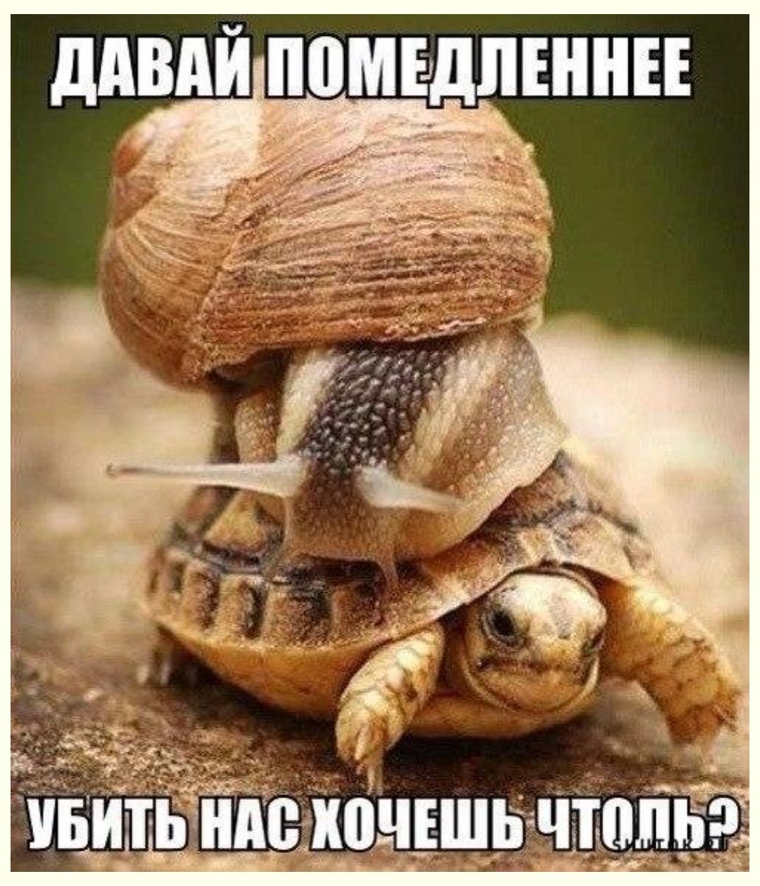 ддВдЙ ППМЕДПШНЕЕ