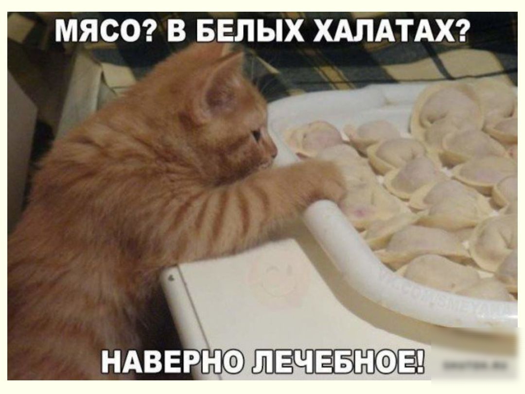 МЯСО В БЕЛЫХ ХАЛАТАХ ч НАВЕРНФ ЛЕЧЕБНФЕ