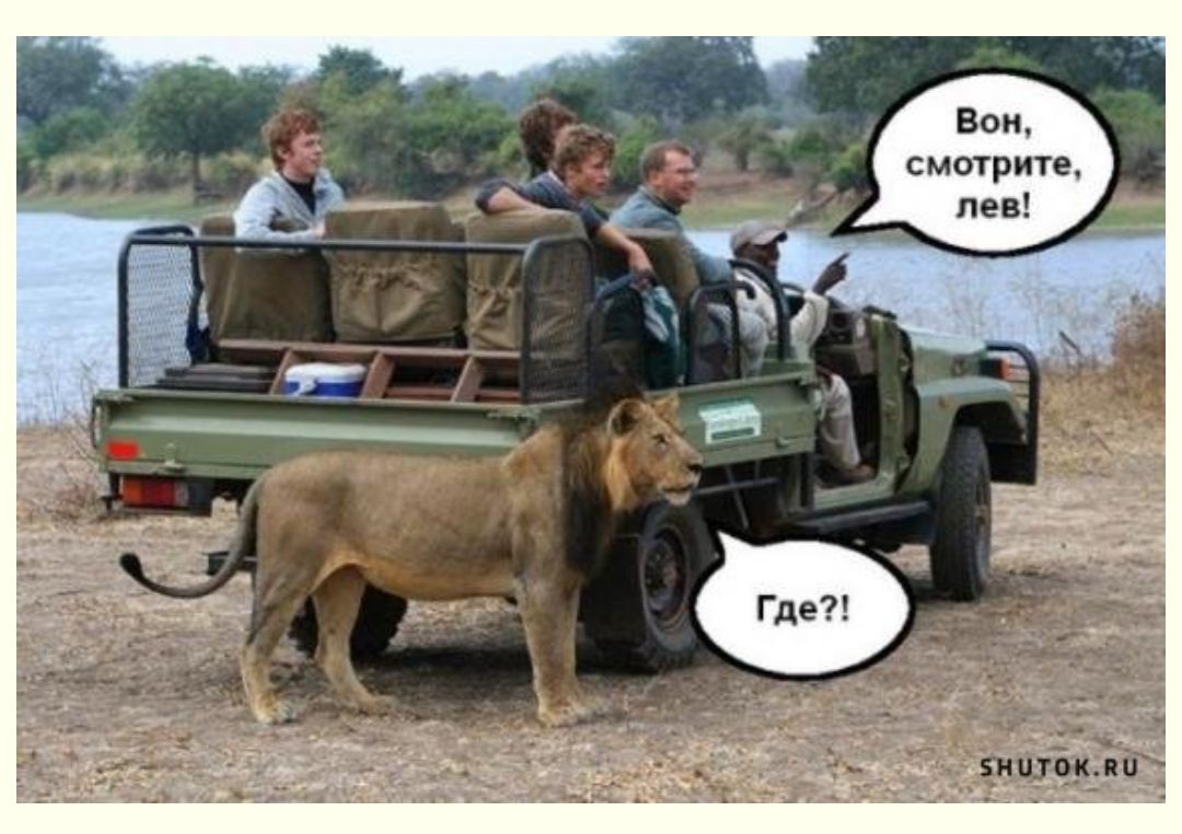 Вон смотрите