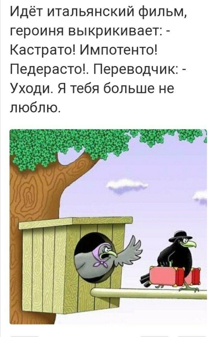 Идёт итальянский фильм героиня выкрикивает Кастрато Импотенто Педерасто Переводчик Уходи Я тебя больше не люблю